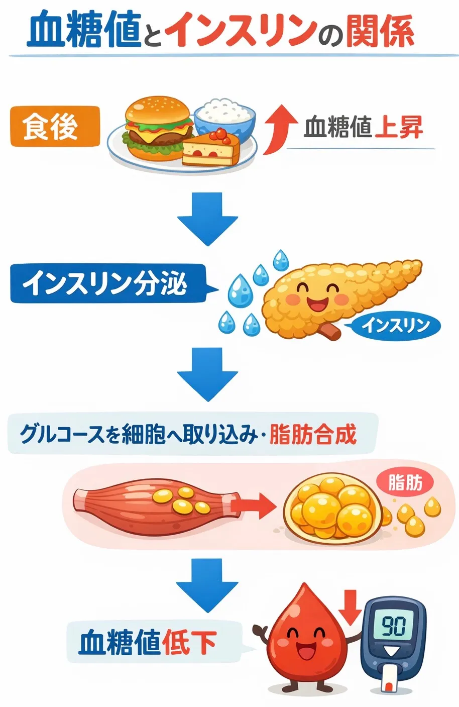 血糖値とダイエットの関係性