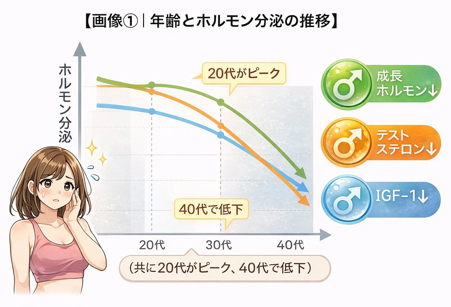 若い方が筋肉が着きやすい理由