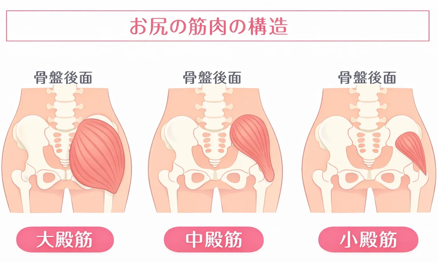 ヒップラインは努力で作れる！
