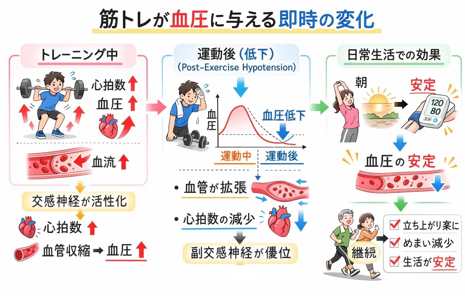低血圧に対する筋トレの効果