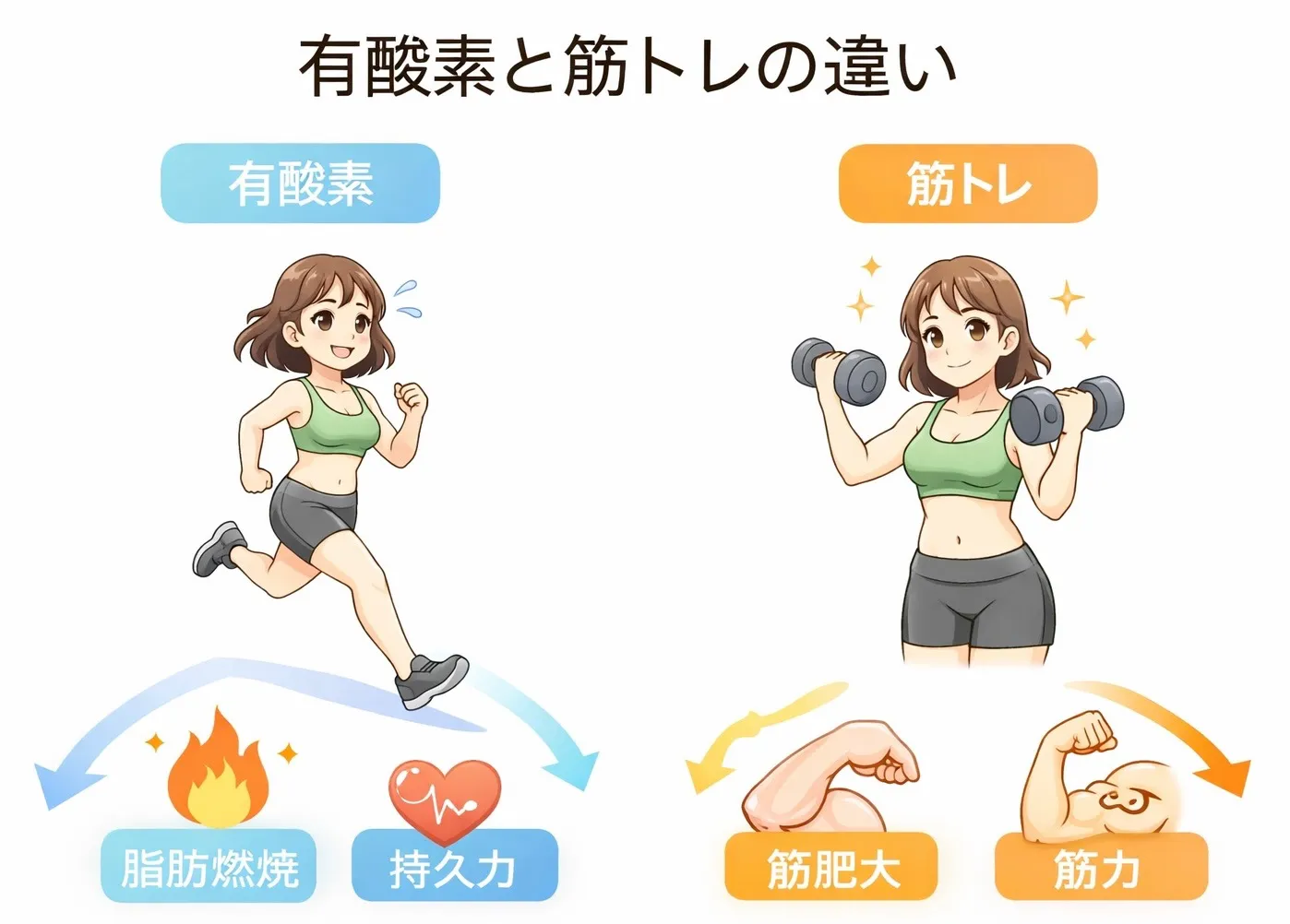 有酸素運動で筋肉はつくのか？