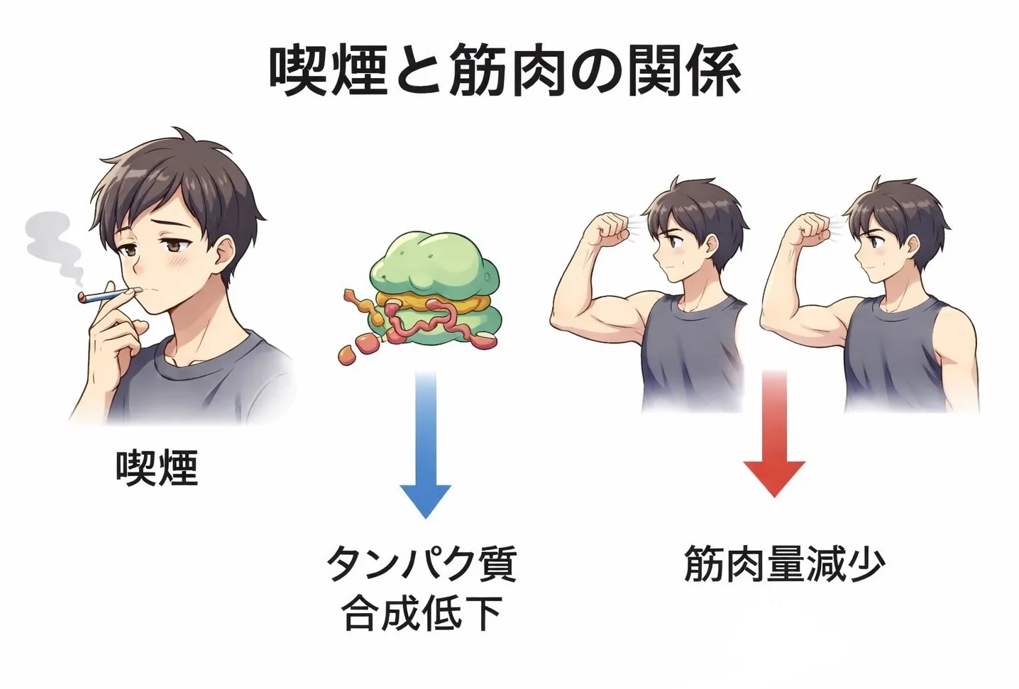 喫煙と筋肉の関係とは？