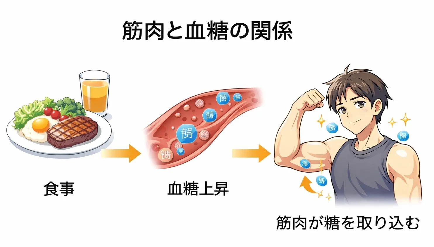 高強度筋トレが血糖値に与える影響