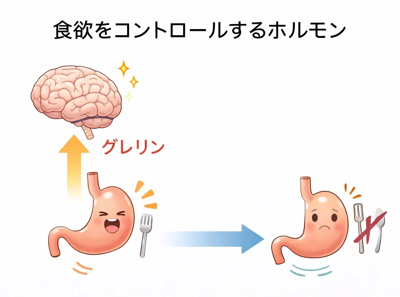 過食を防ぐために筋トレが有効?