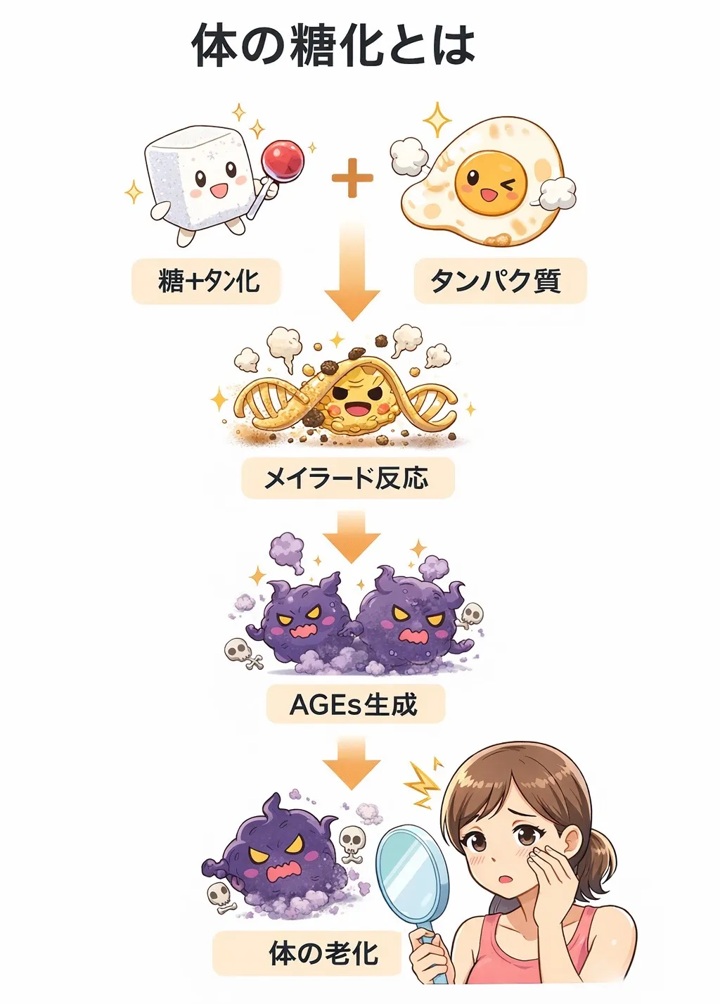 筋肉と体の糖化