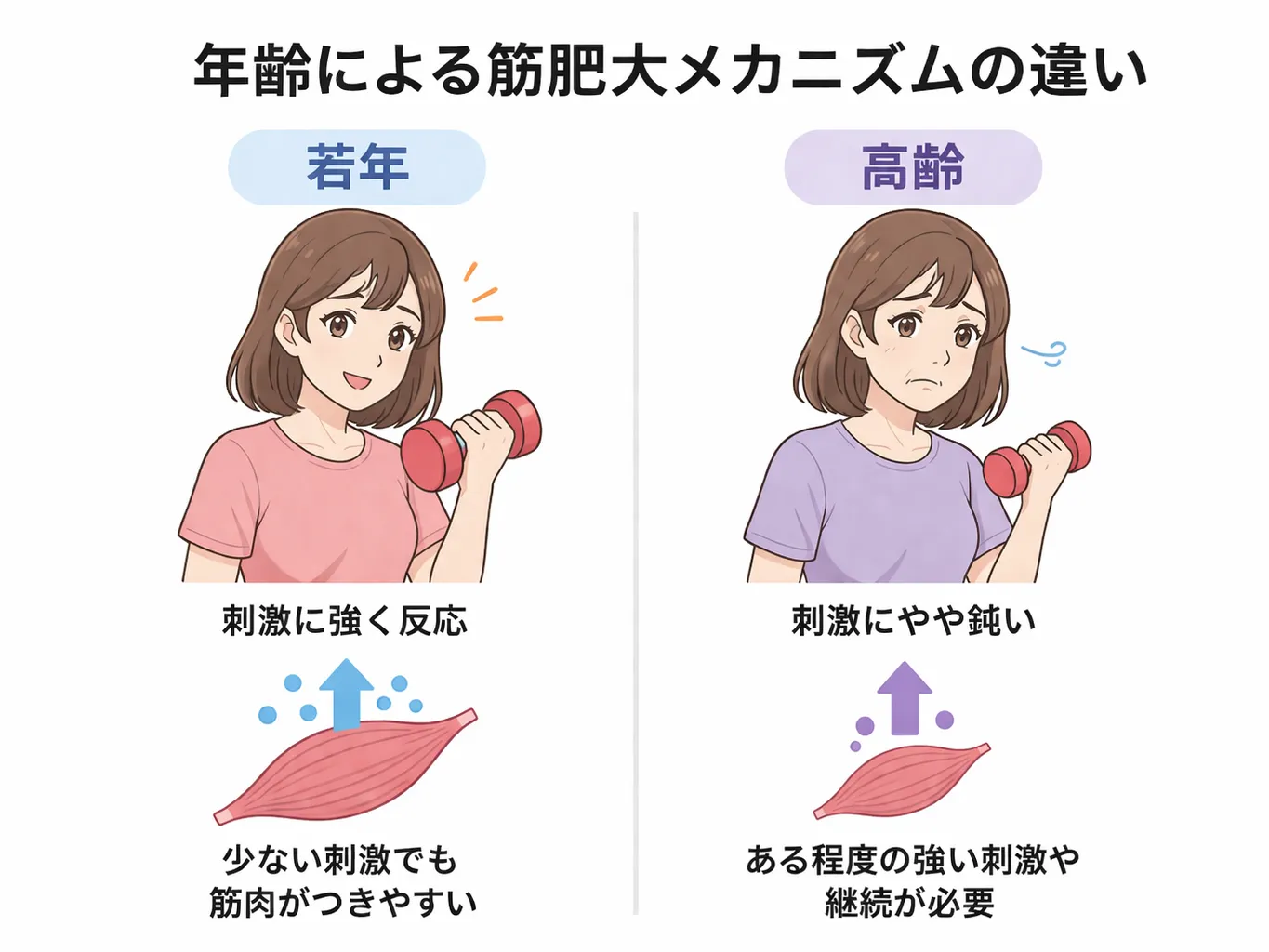 筋肉は何歳でもつくのか?