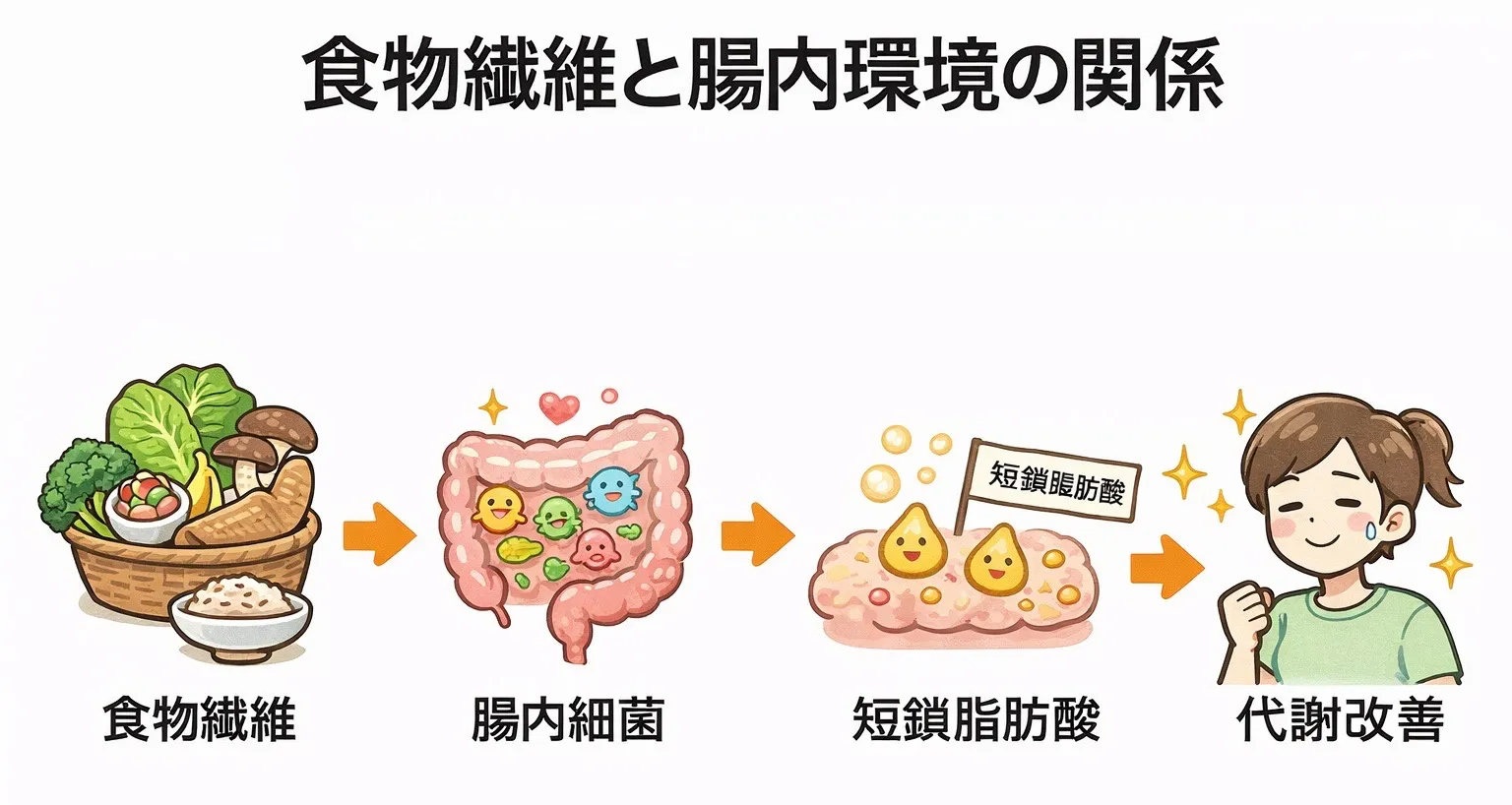 食物繊維の重要性