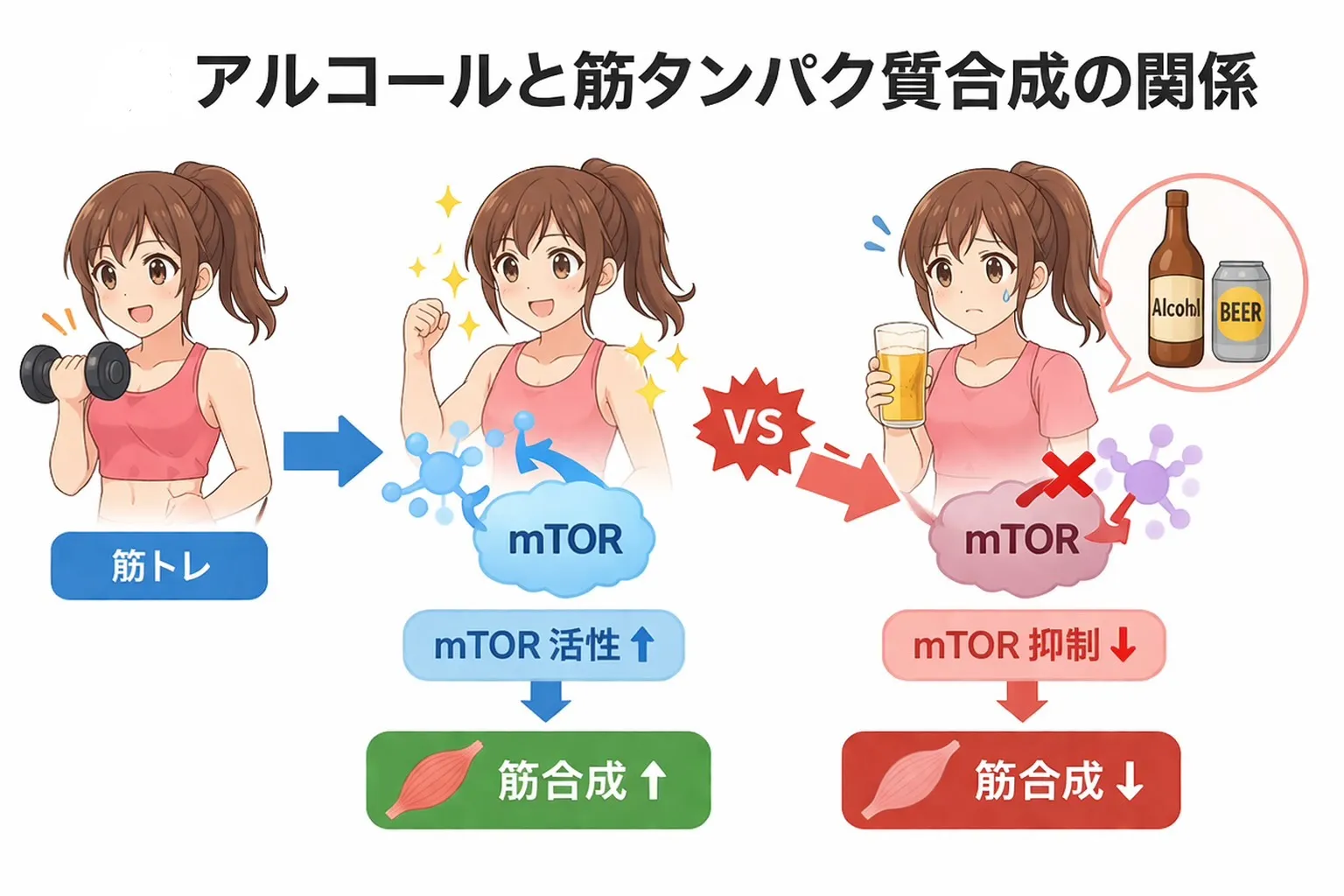 なぜアルコールと筋肉は相性最悪と言われるのか