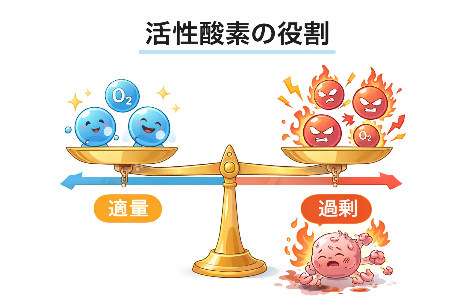 筋トレと活性酸素の関係