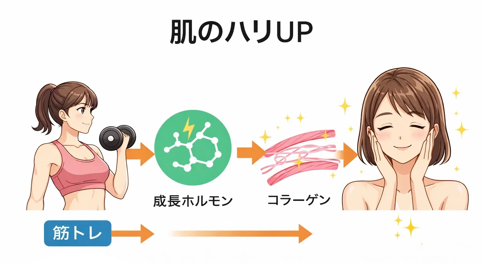 筋肉がシワを減らす理由とは?