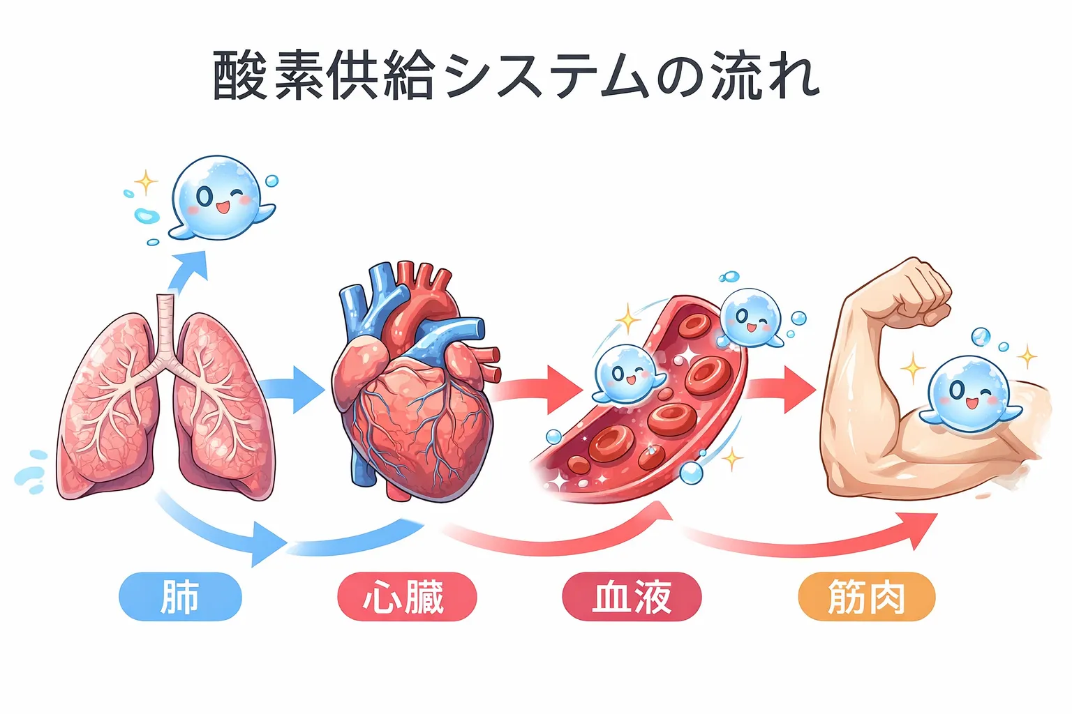 なぜ息切れが起こるのか？