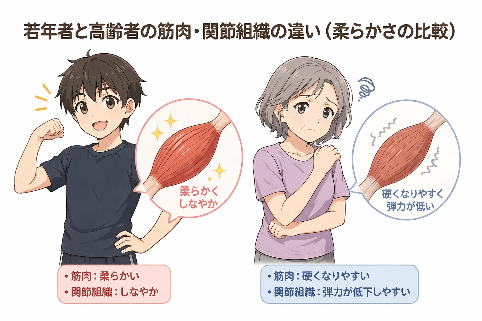 年齢とともに体が硬くなるのはなぜ?