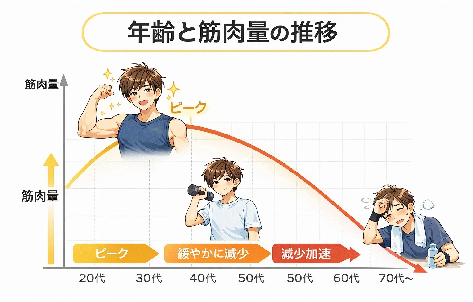 筋肉は何歳から急激に低下する？