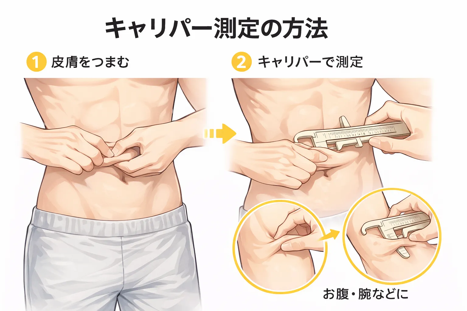 体脂肪の測定キャリパーとは？