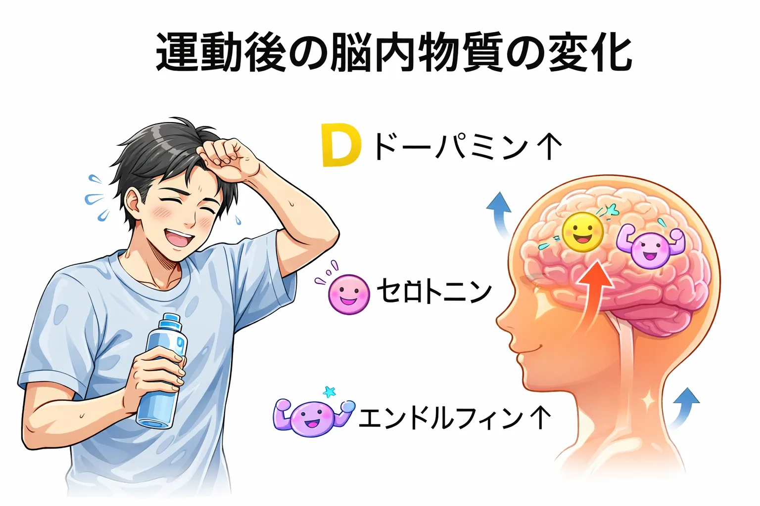 運動後の達成感の正体