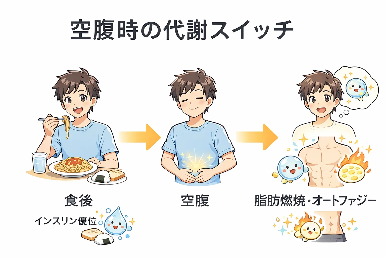 空腹は最強のアンチエイジング戦略なのか？