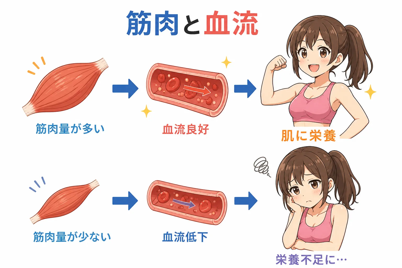 筋肉量と肌年齢の相関とは？