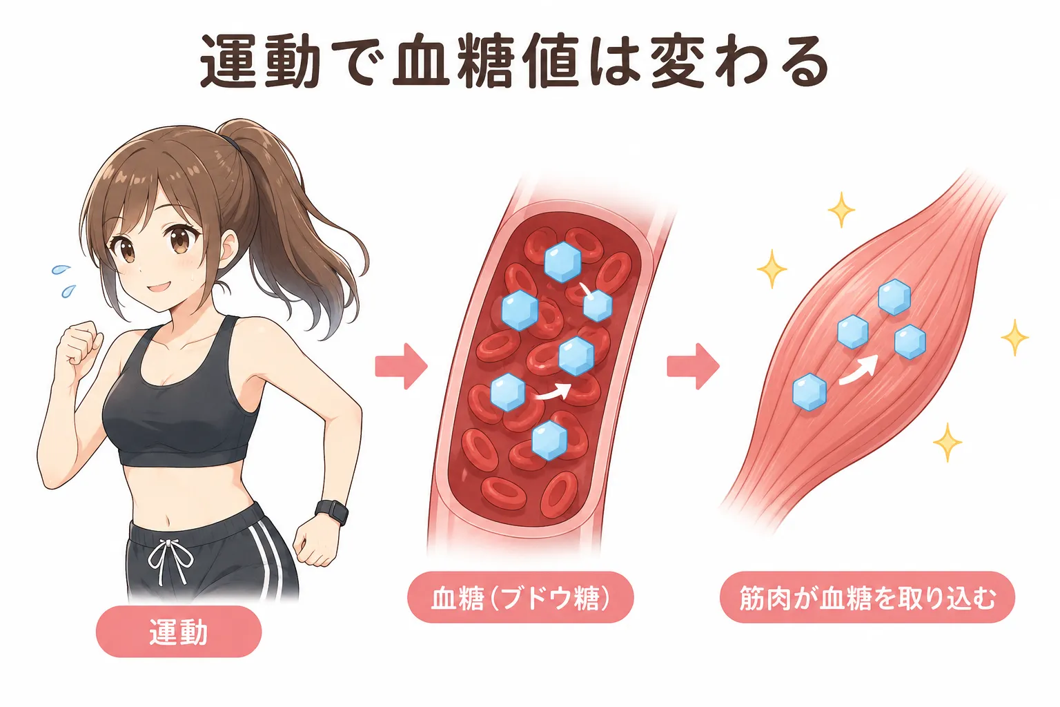 運動により改善する血液データ