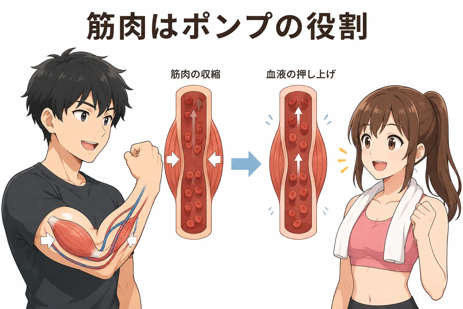 浮腫と筋肉
