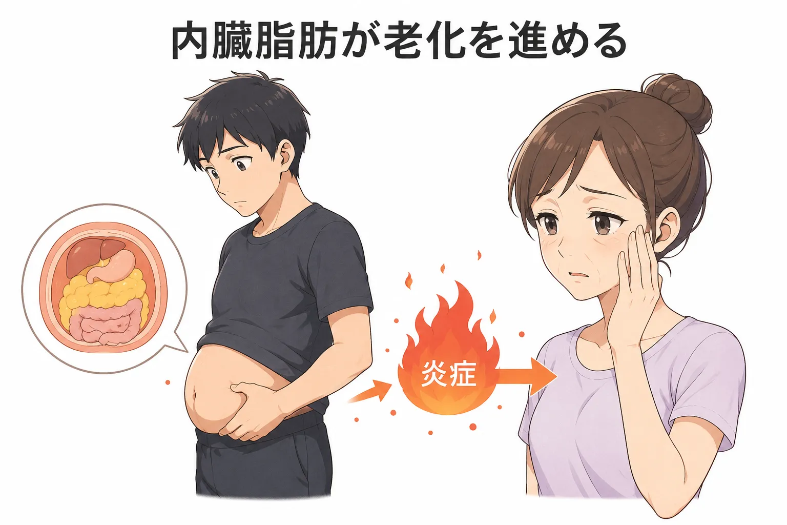 体脂肪と老化現象の関係