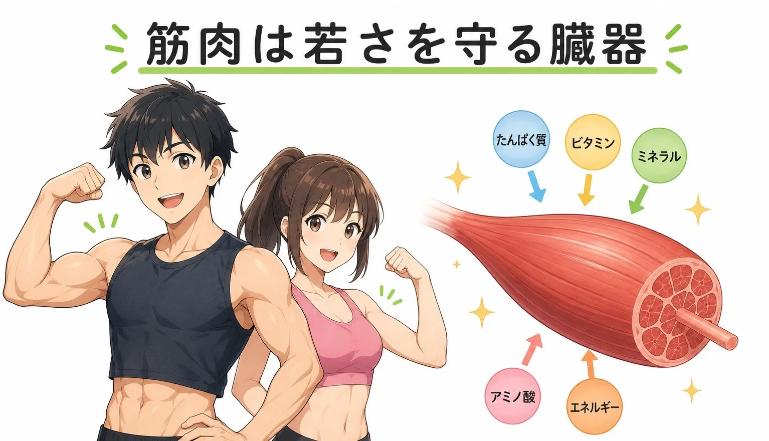 筋トレによるアンチエイジング効果