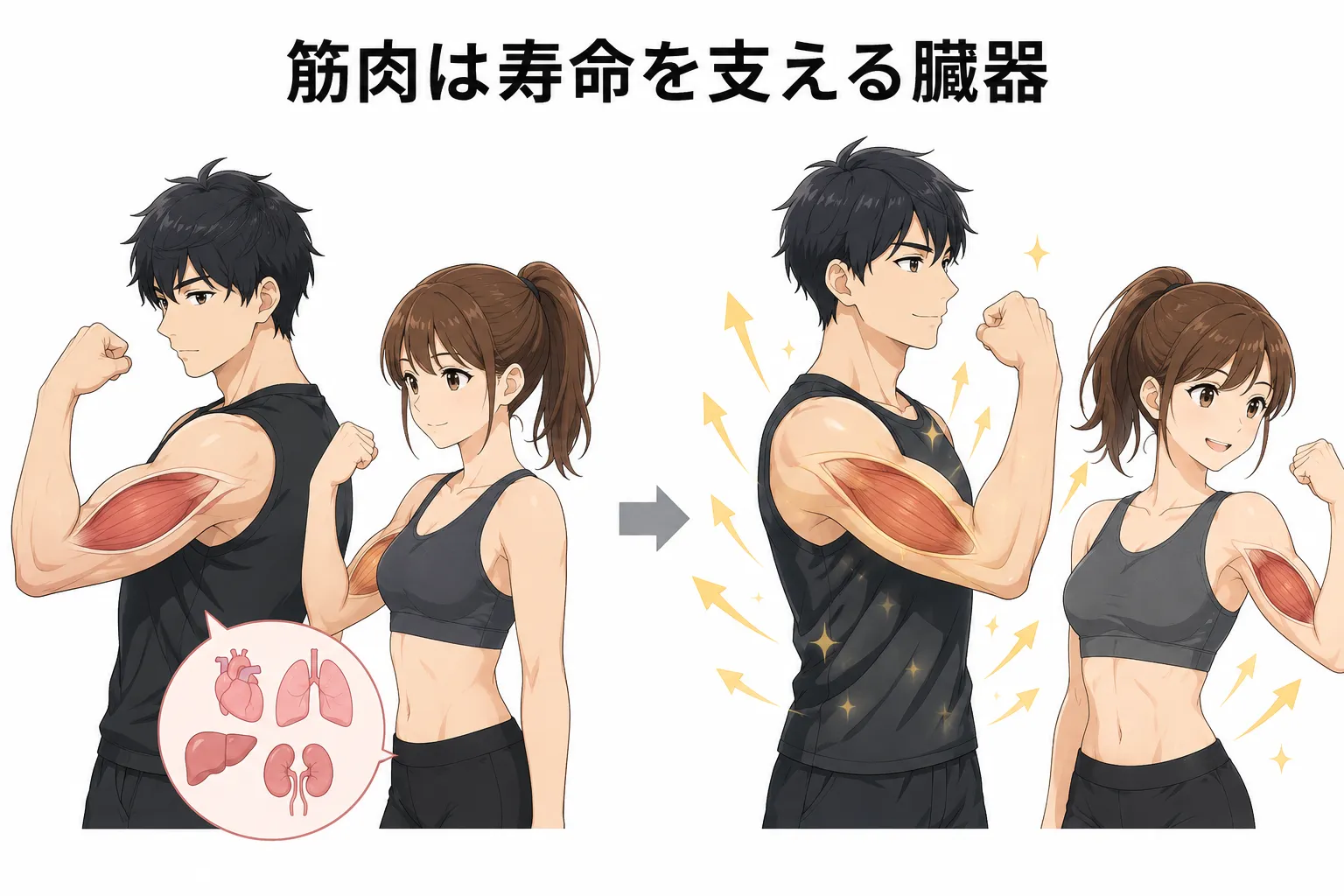 筋肉量と死亡率