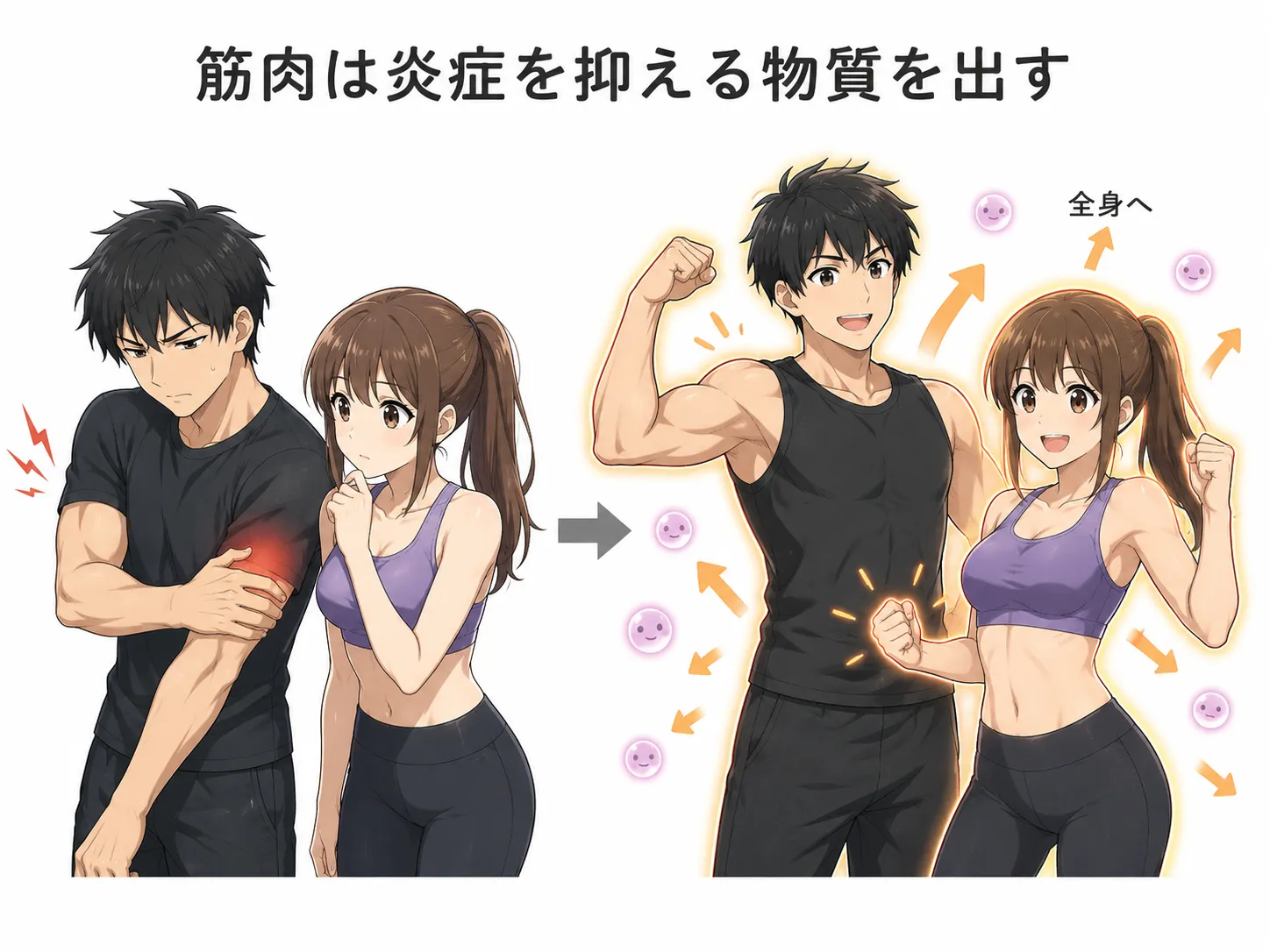 筋肉による慢性炎症の予防