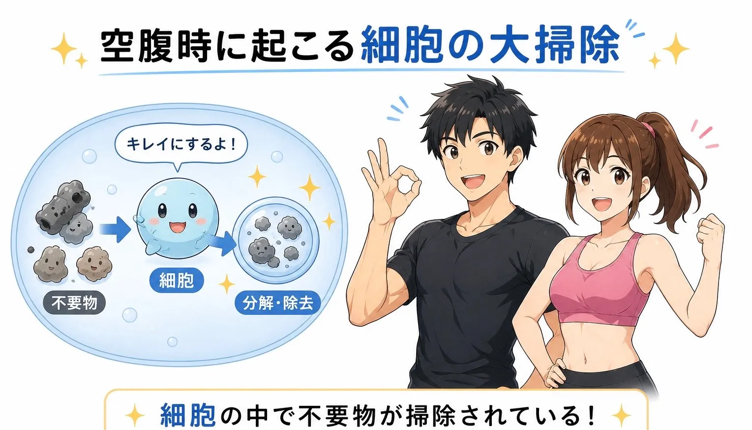 空腹による美容効果