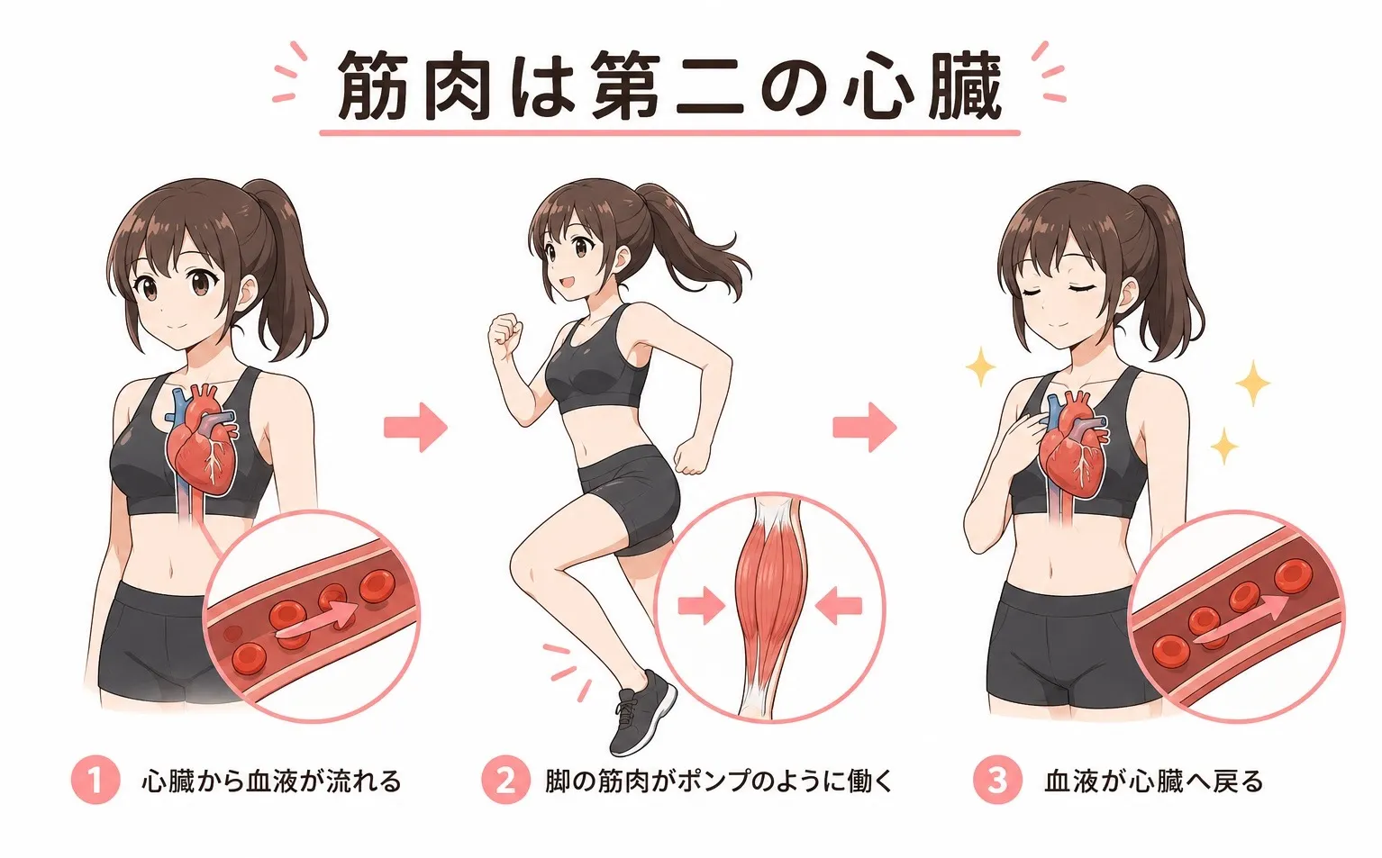 筋トレによる血流の改善