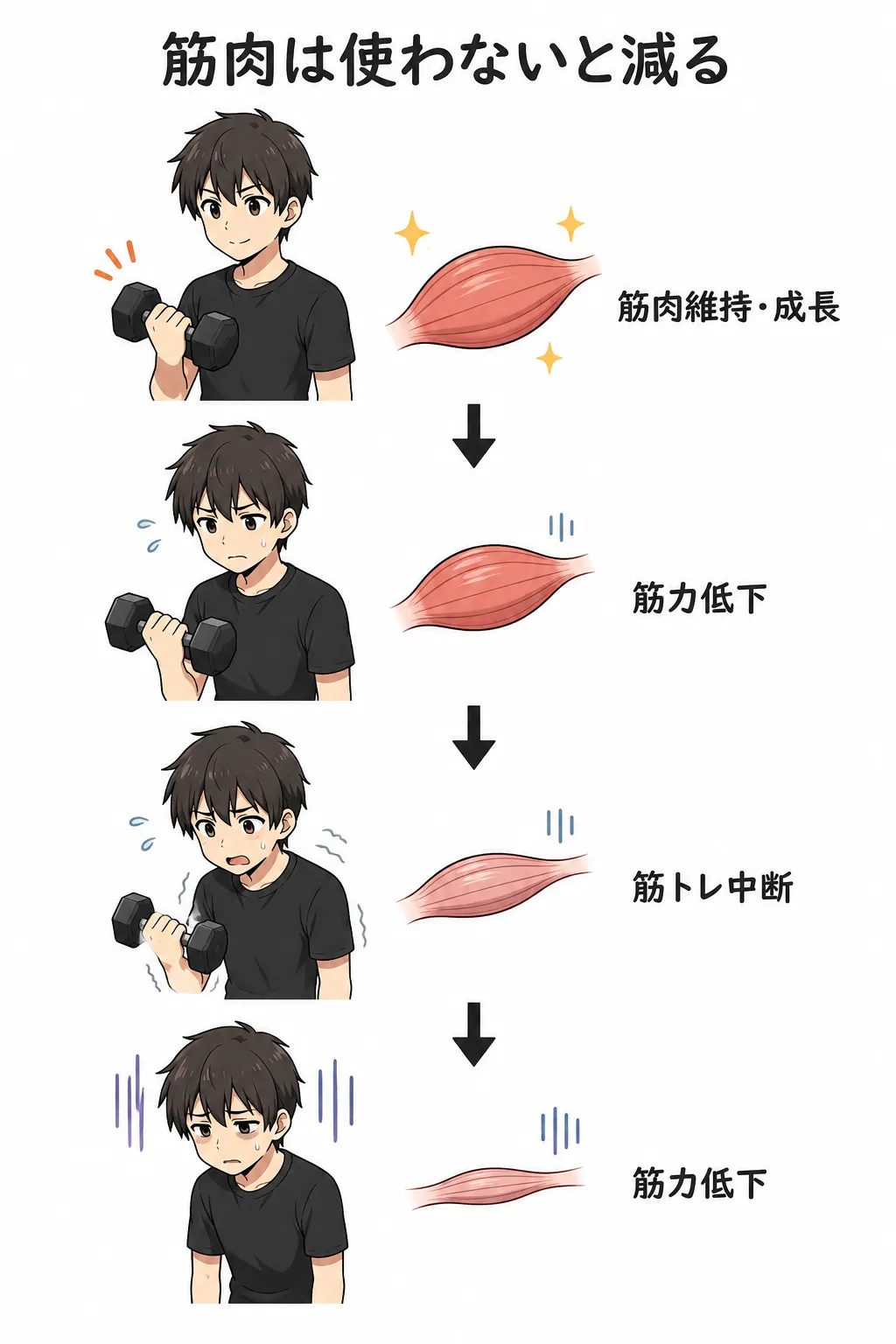筋トレは期間をあけ過ぎないほうがいい